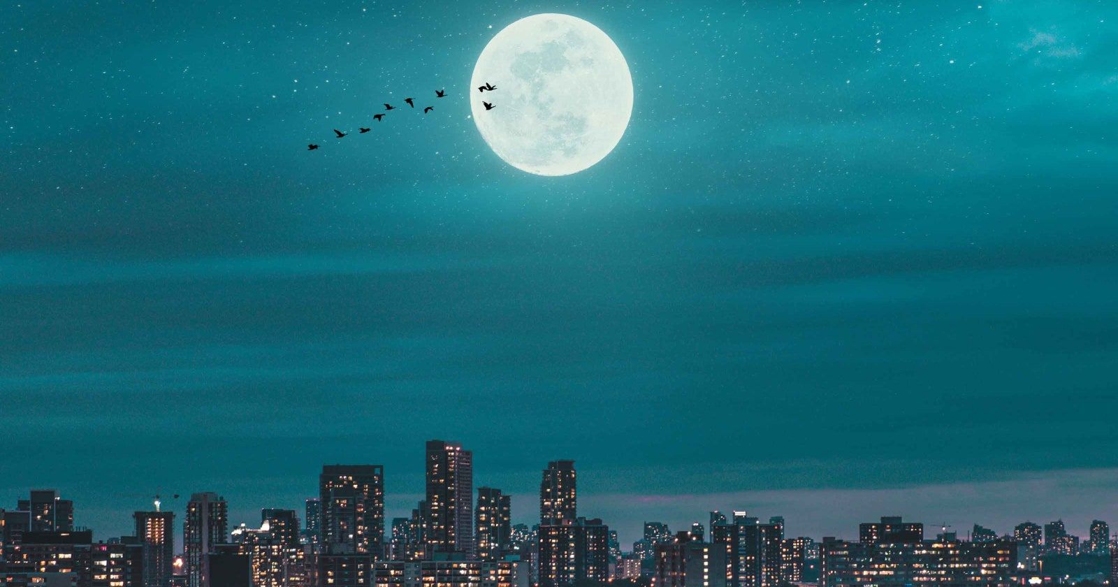 Fondo de pantalla de  1600x840