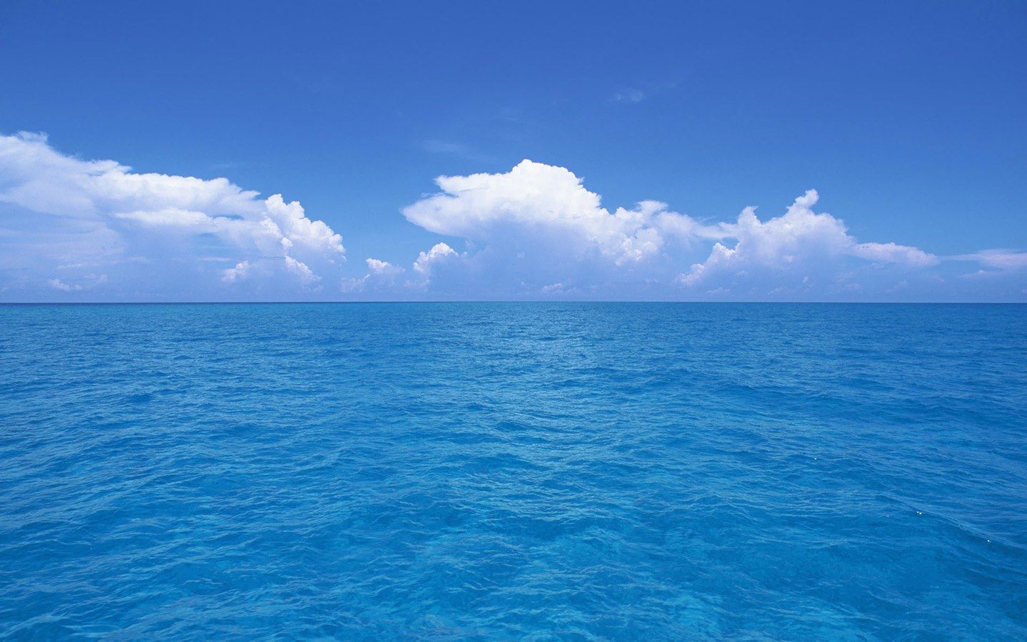 Fondo de pantalla del  1440x900