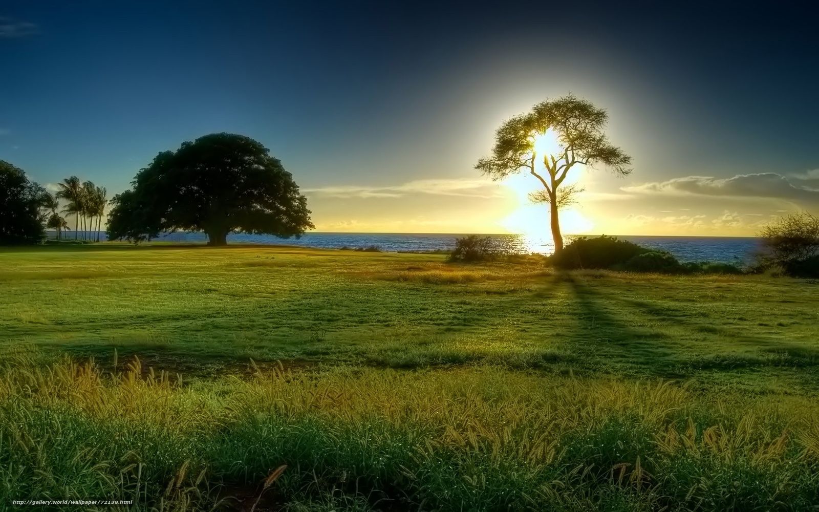 Fondo de pantalla del  1600x1000