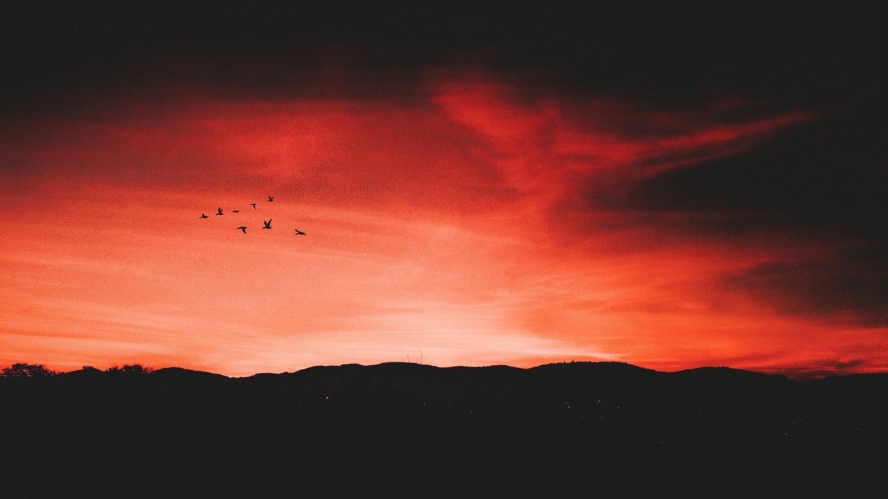 Fondo de pantalla del  1280x720