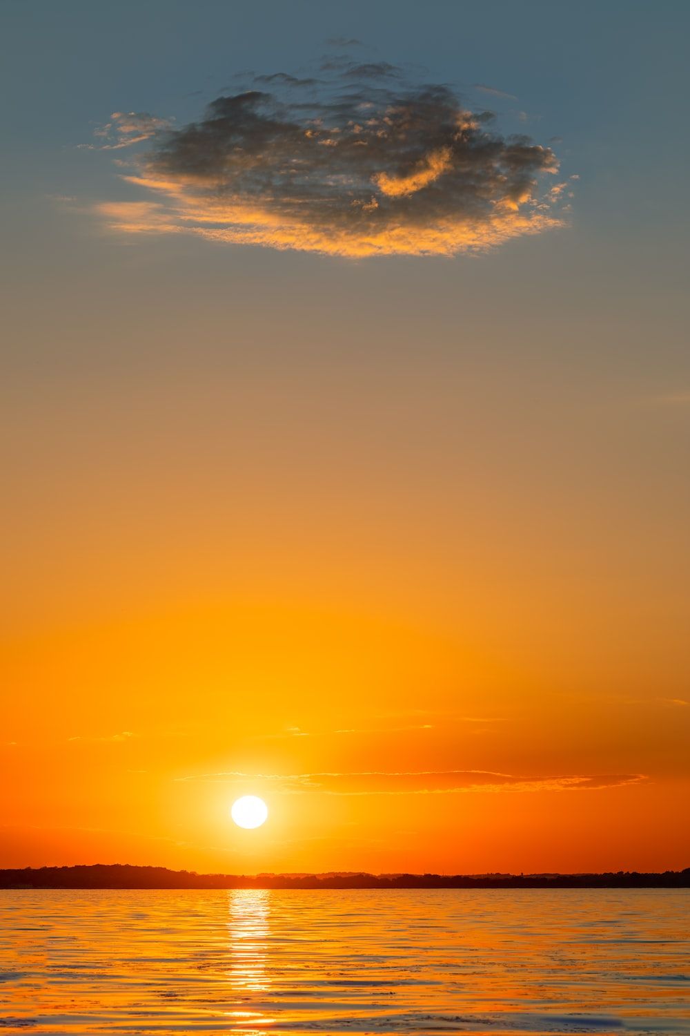 Fondo de pantalla del  1000x1500