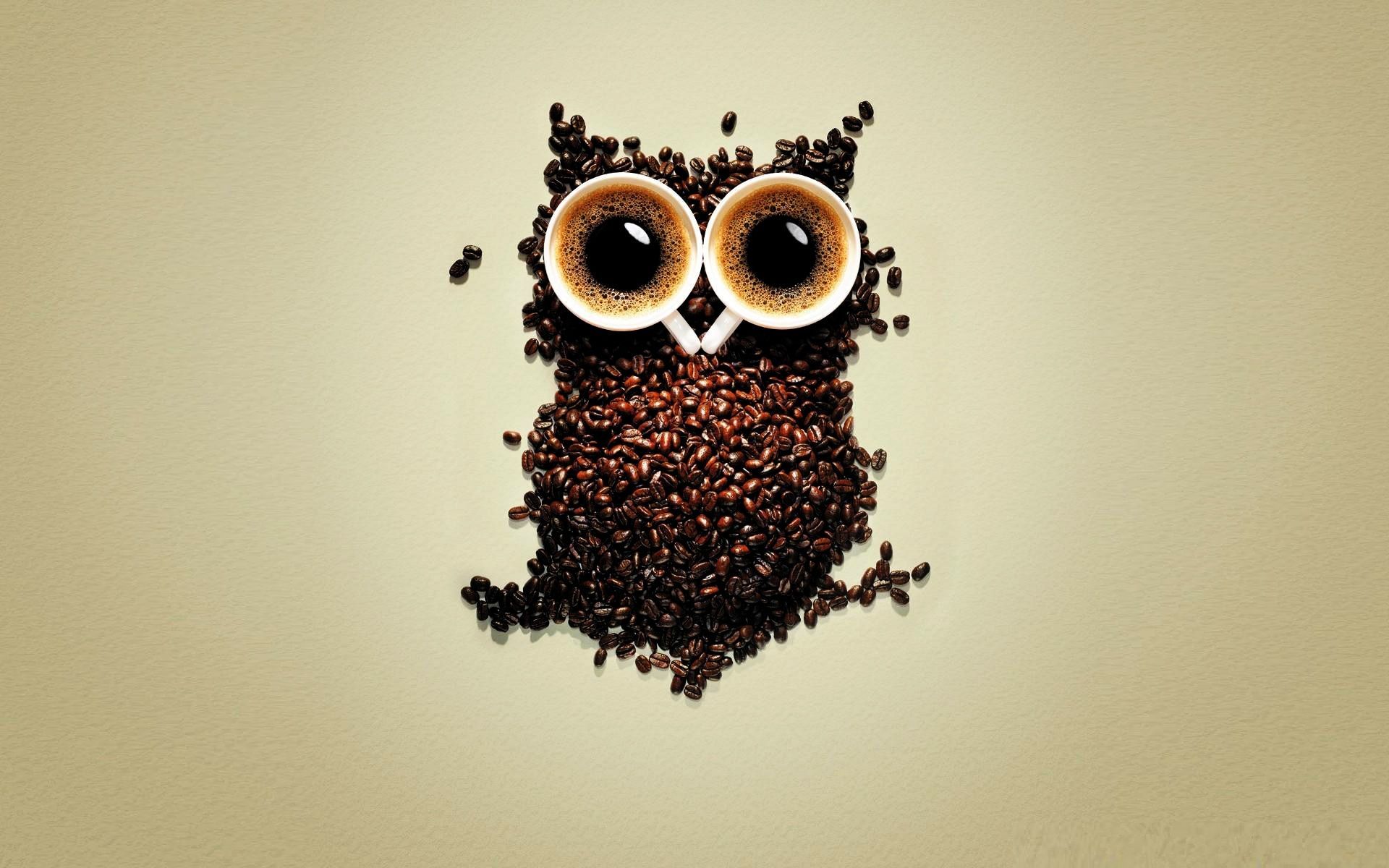 Más de 55 fondos de pantalla de Coffee Owl - Descarga