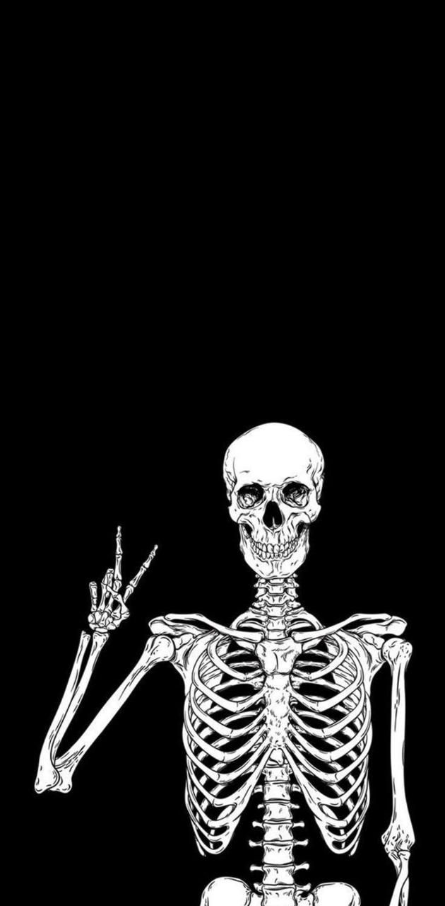 Fondo de pantalla   630x1280