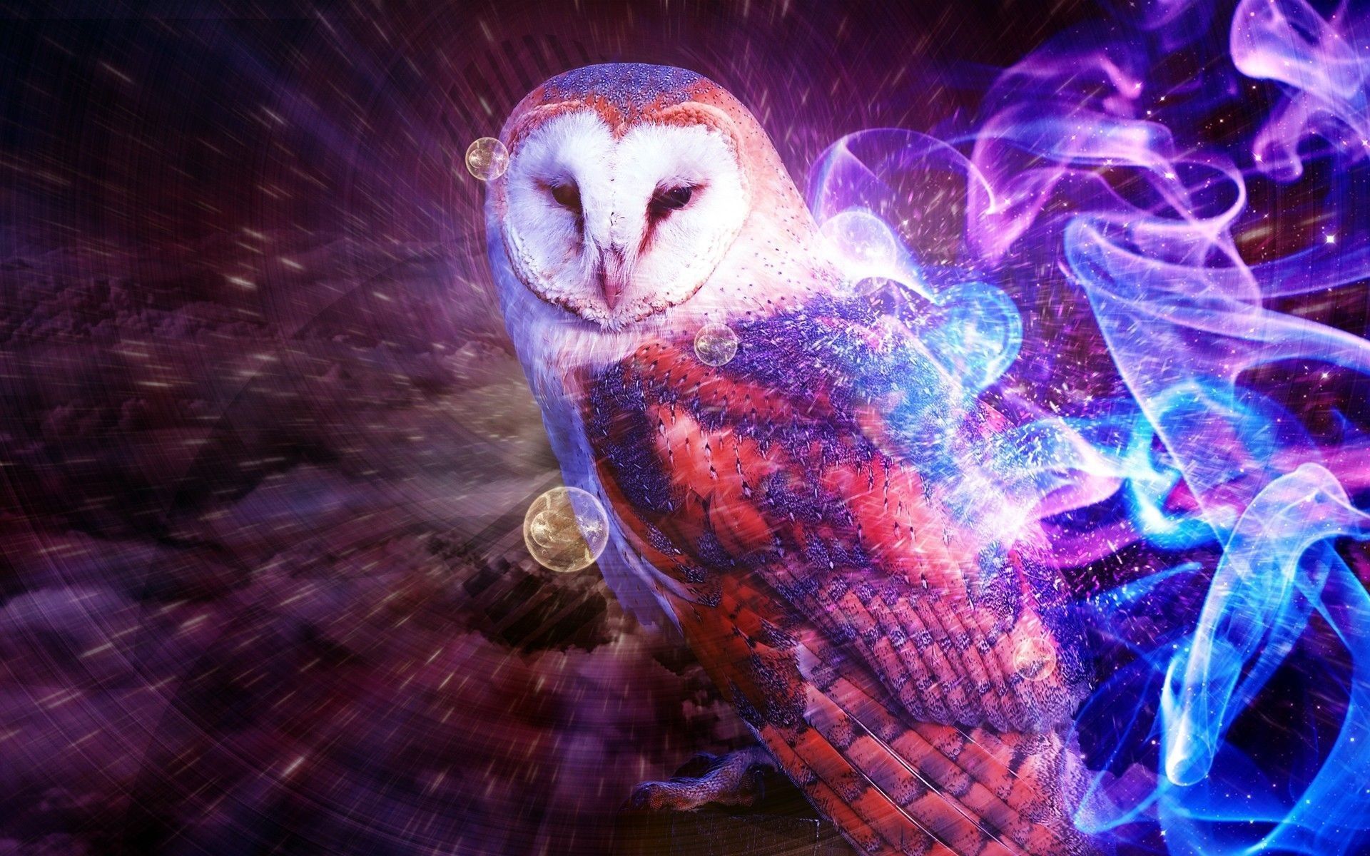 Más de 71 fondos de pantalla de Cute Owl