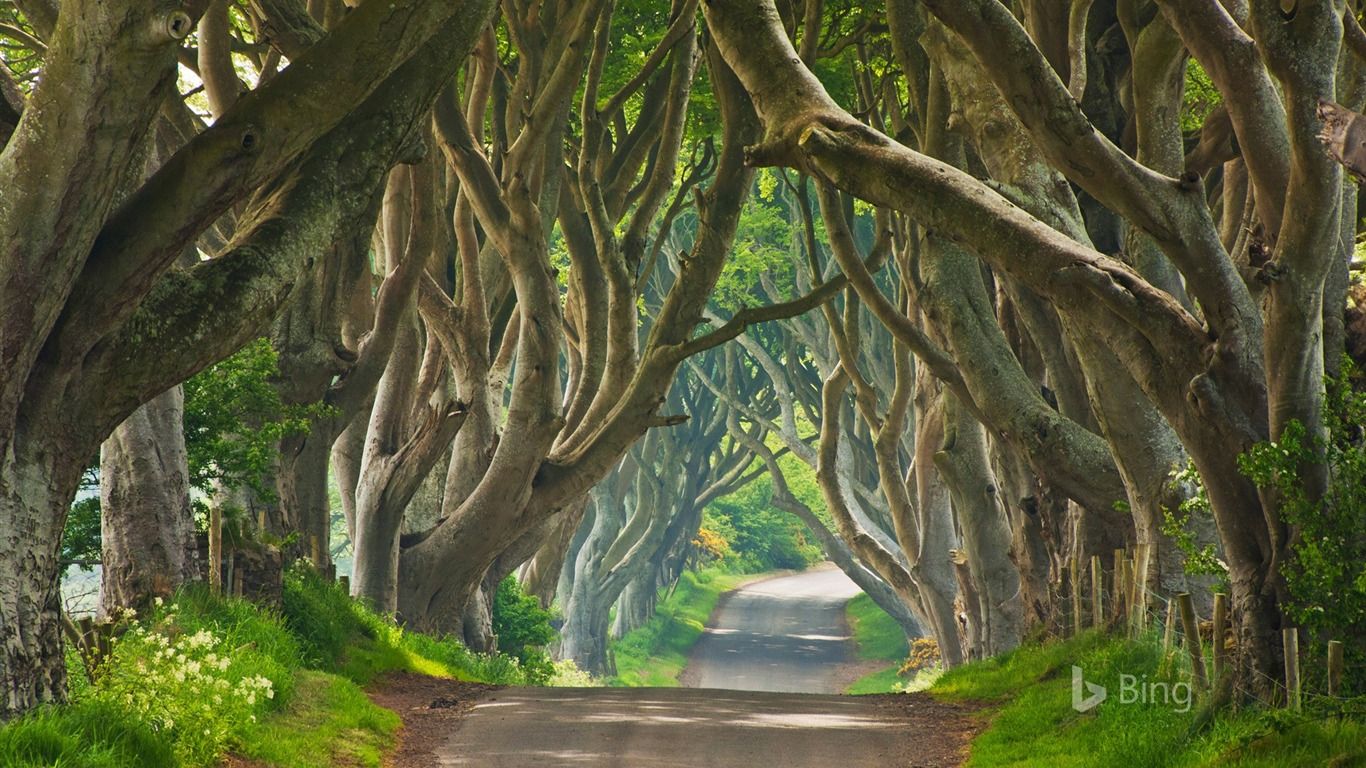 Fondo de pantalla de  1366x768