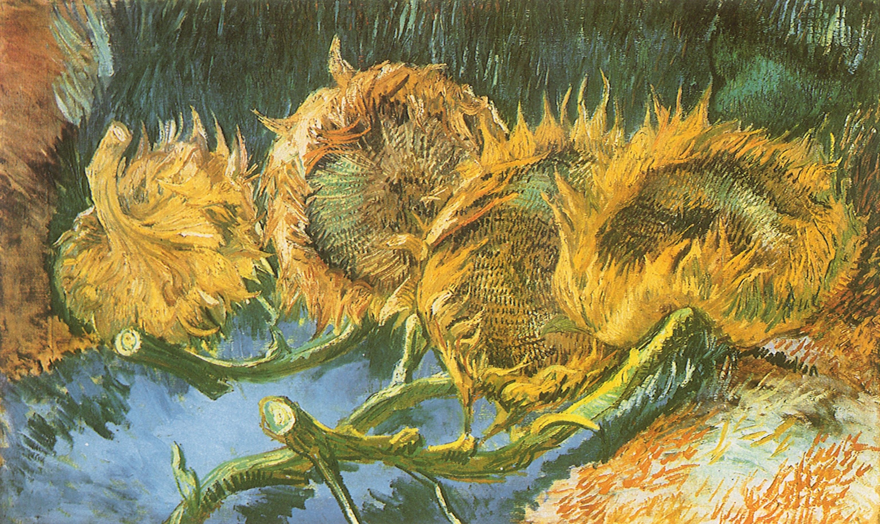 ilustraciones, Vincent Van Gogh, girasoles, pintura, arte clásico