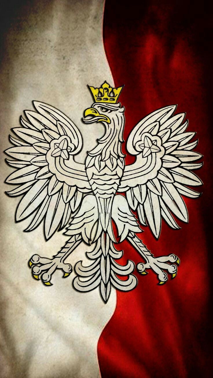 Fondo de pantalla de  736x1308