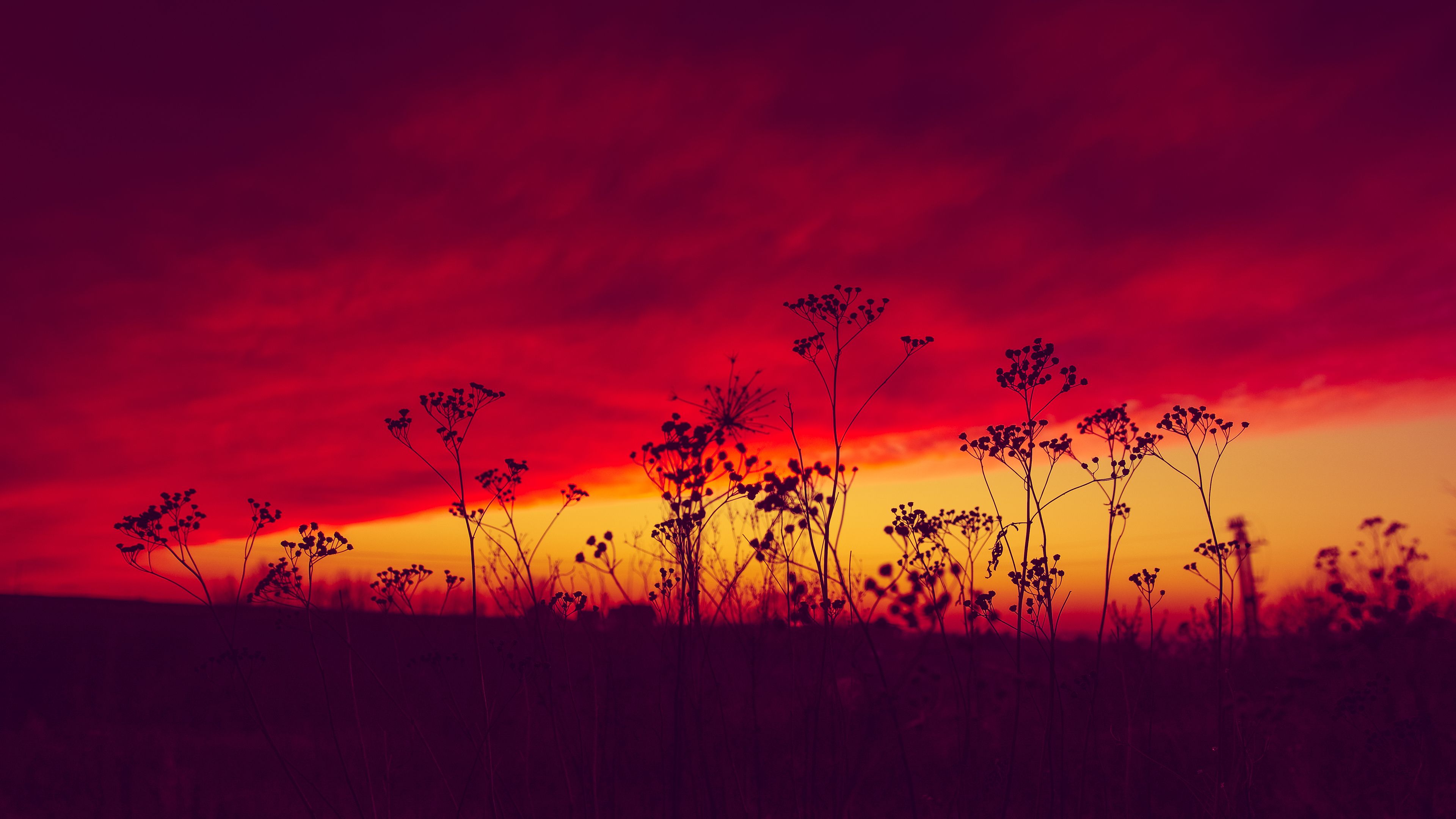 Fondo de pantalla de  3840x2160