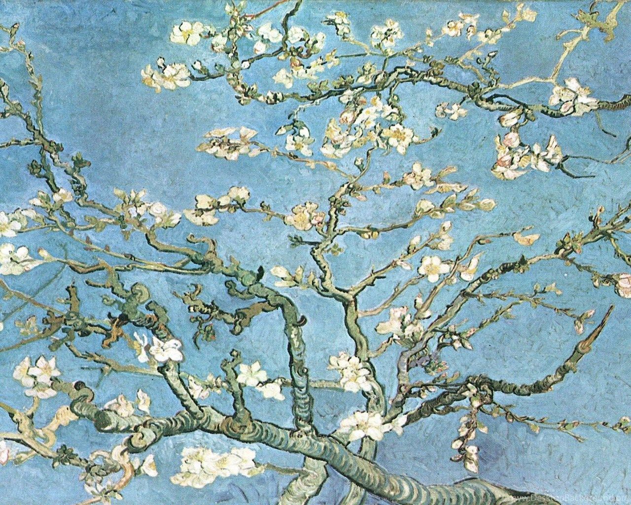 Vincent Van Gogh Wallpapers Fondos de Escritorio