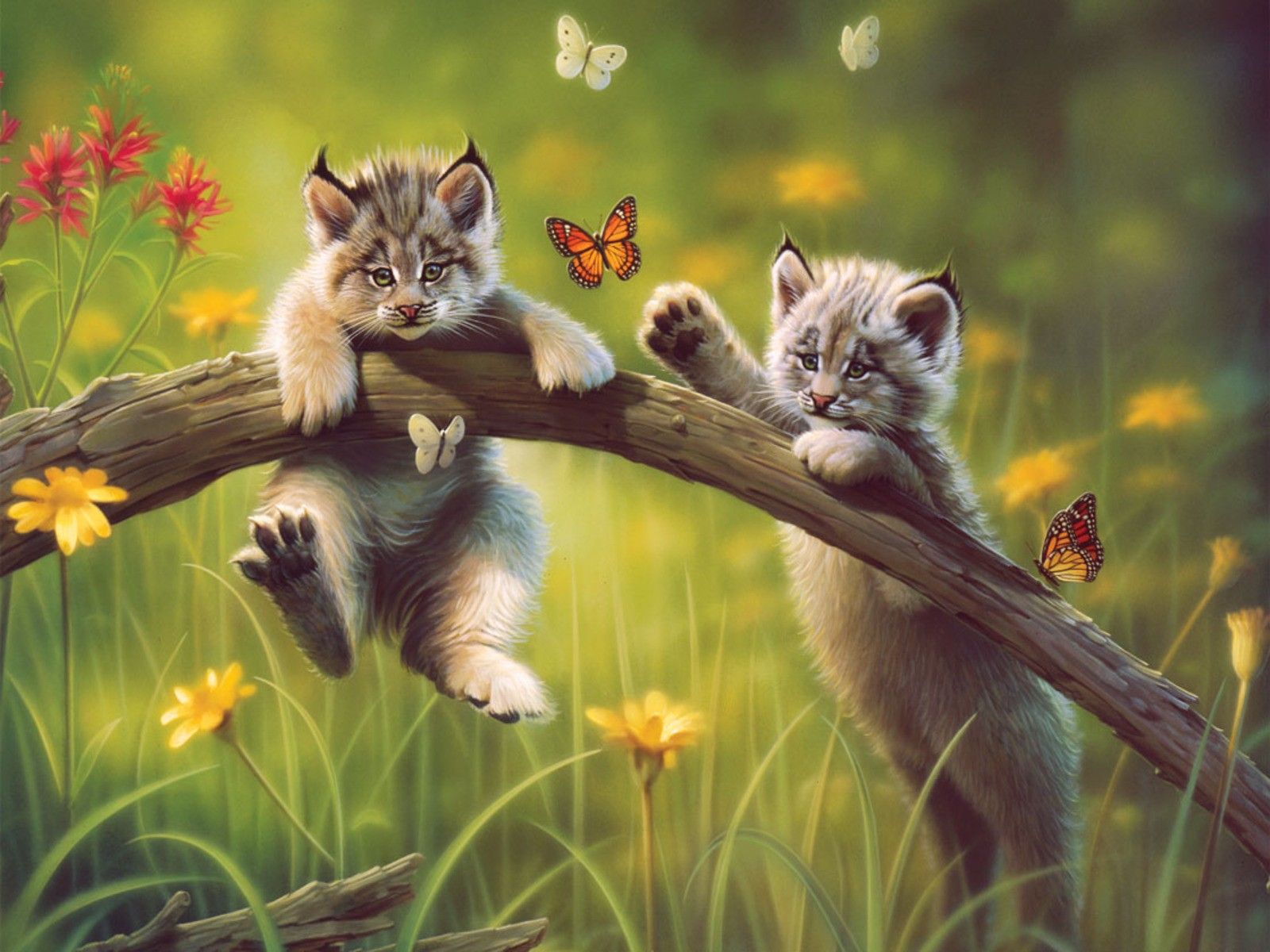 Fondo de pantalla   1600x1200