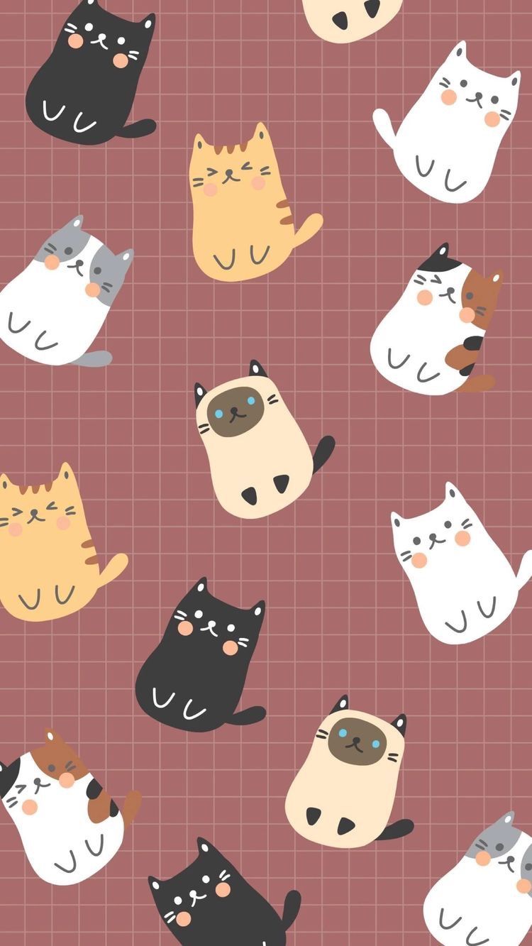 Fondo de pantalla   750x1333