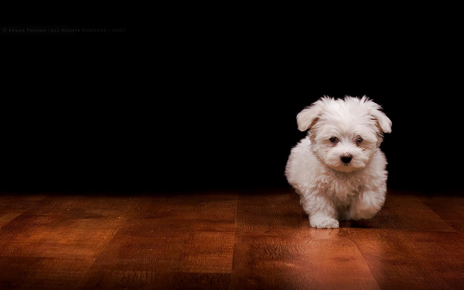 Fondo de pantalla   1600x1000