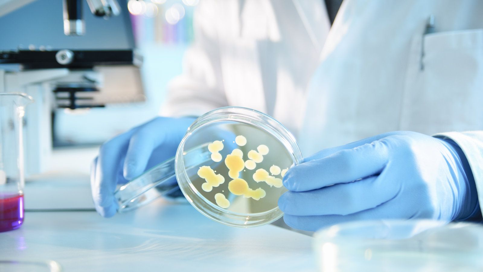 Fondo de pantalla de  1600x900