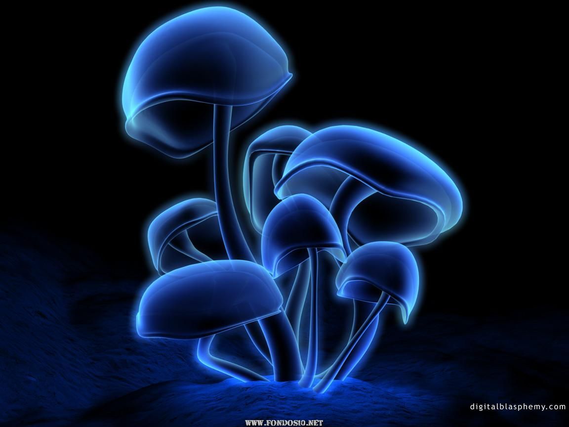 Fondo de pantalla de  1152x864