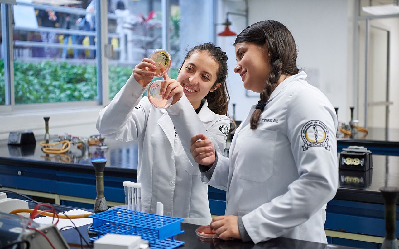 Fondo de pantalla de  1280x800