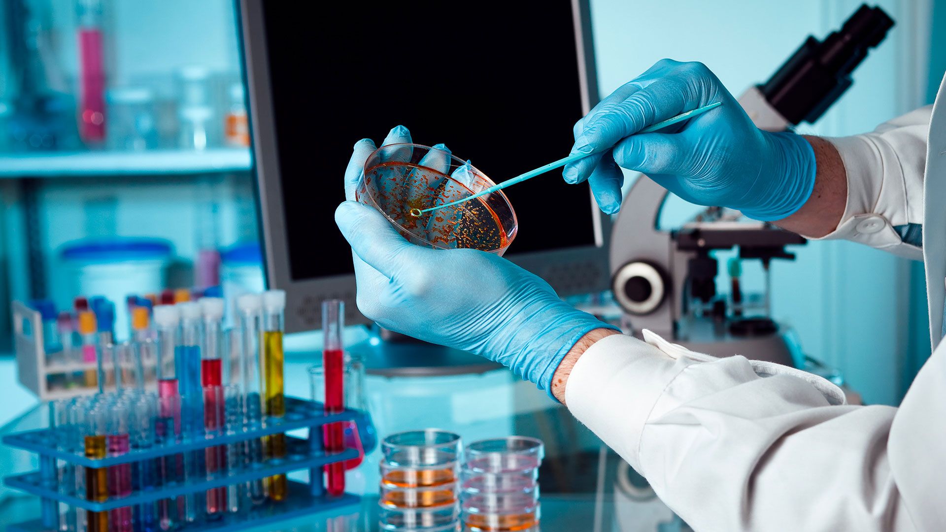 Fondo de pantalla de  1920x1080