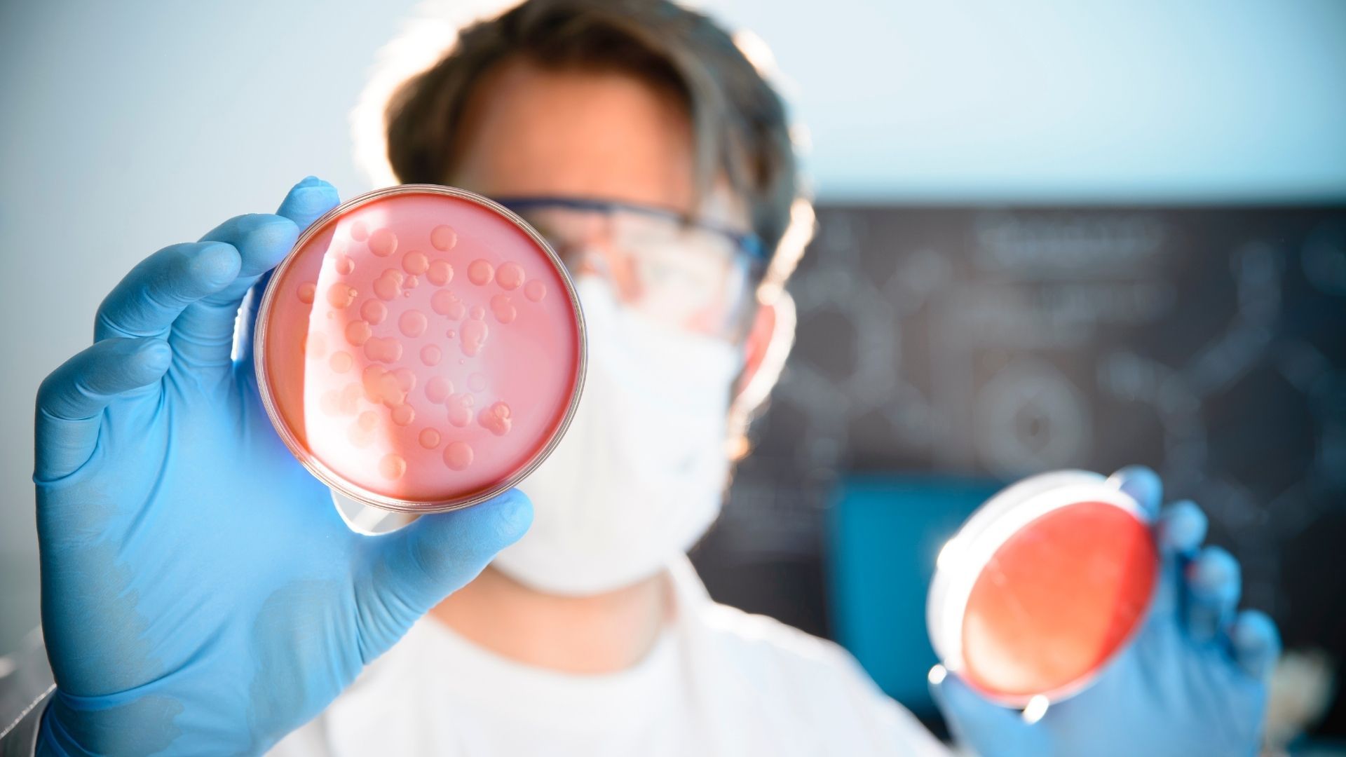 Fondo de pantalla de  1920x1080