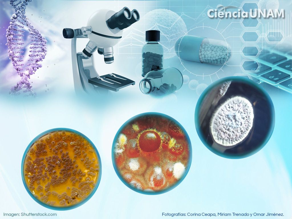 Fondo de pantalla de  1024x768