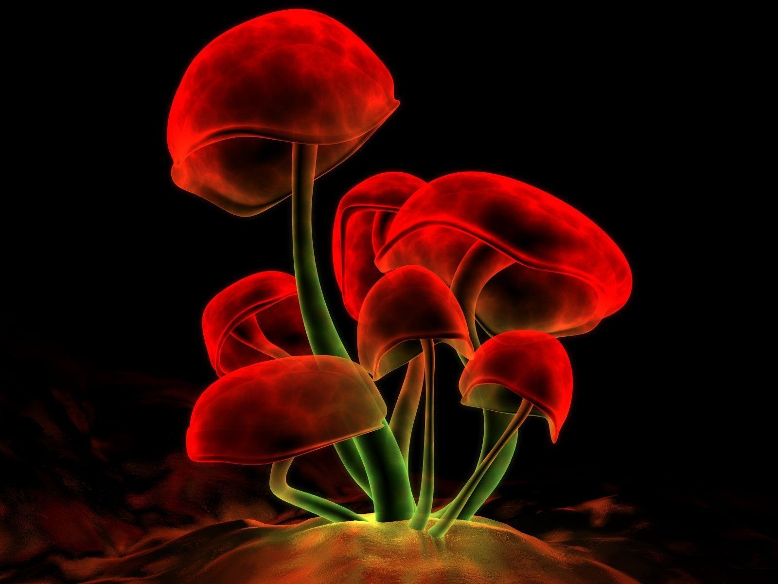 Fondo de pantalla de  1600x1200