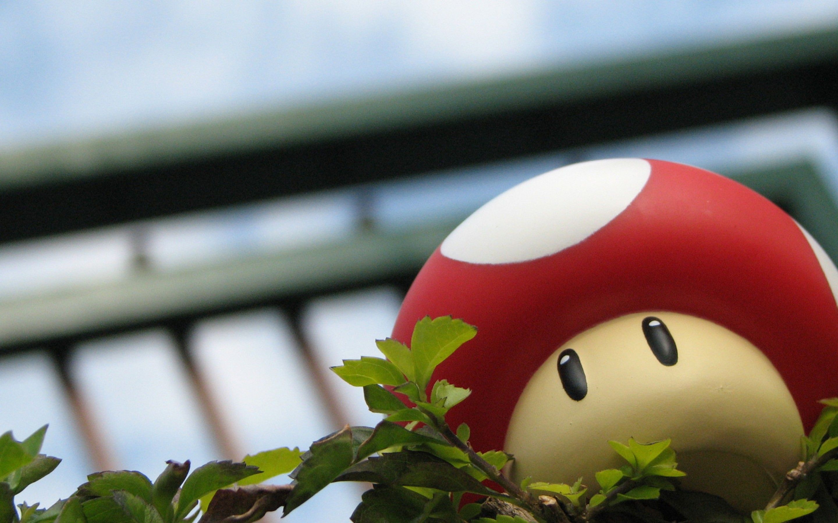 Fondo de pantalla de  2880x1800