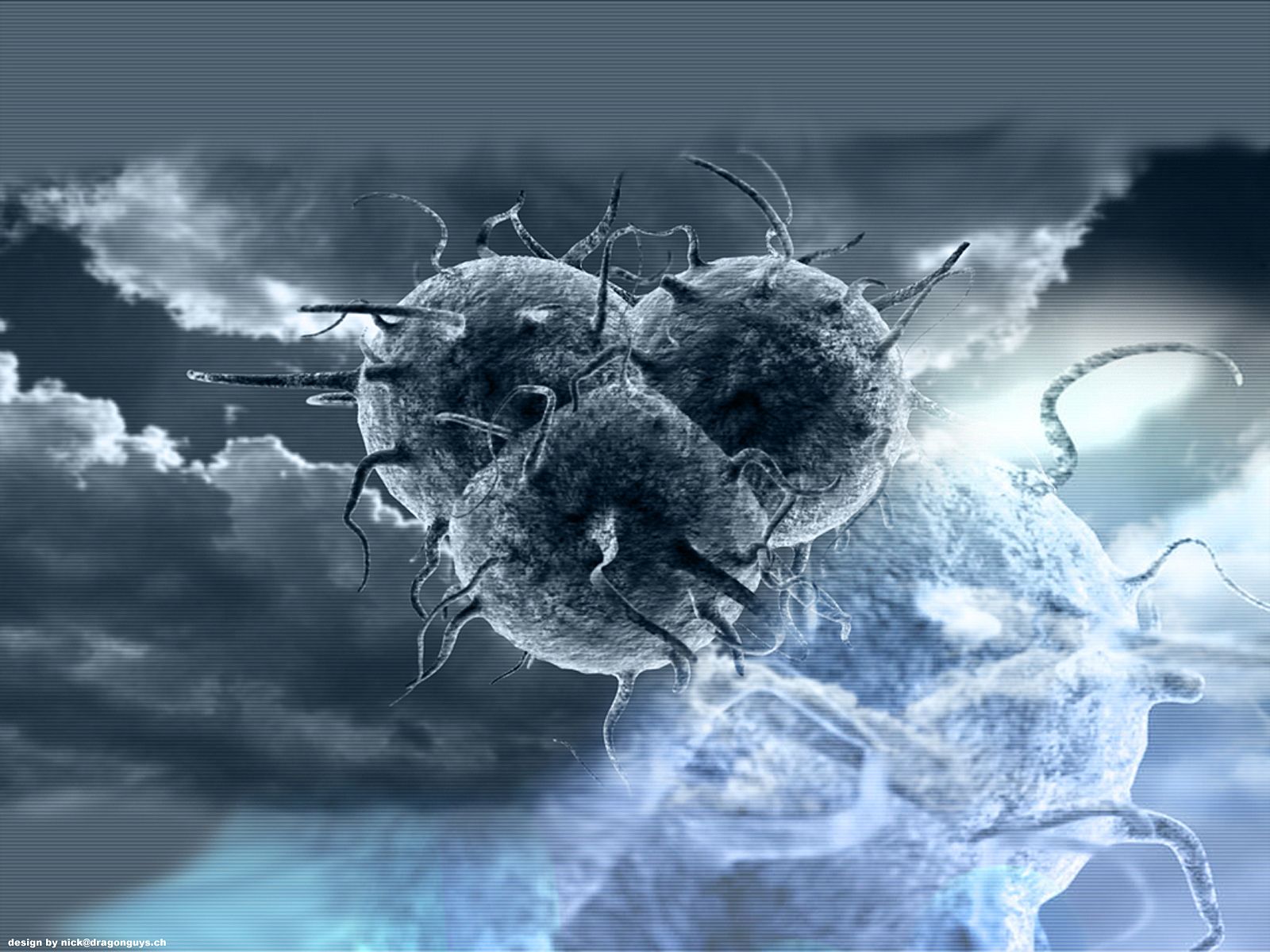 Fondo de pantalla de  1600x1200