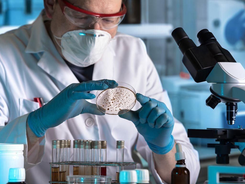 Fondo de pantalla de  1024x768