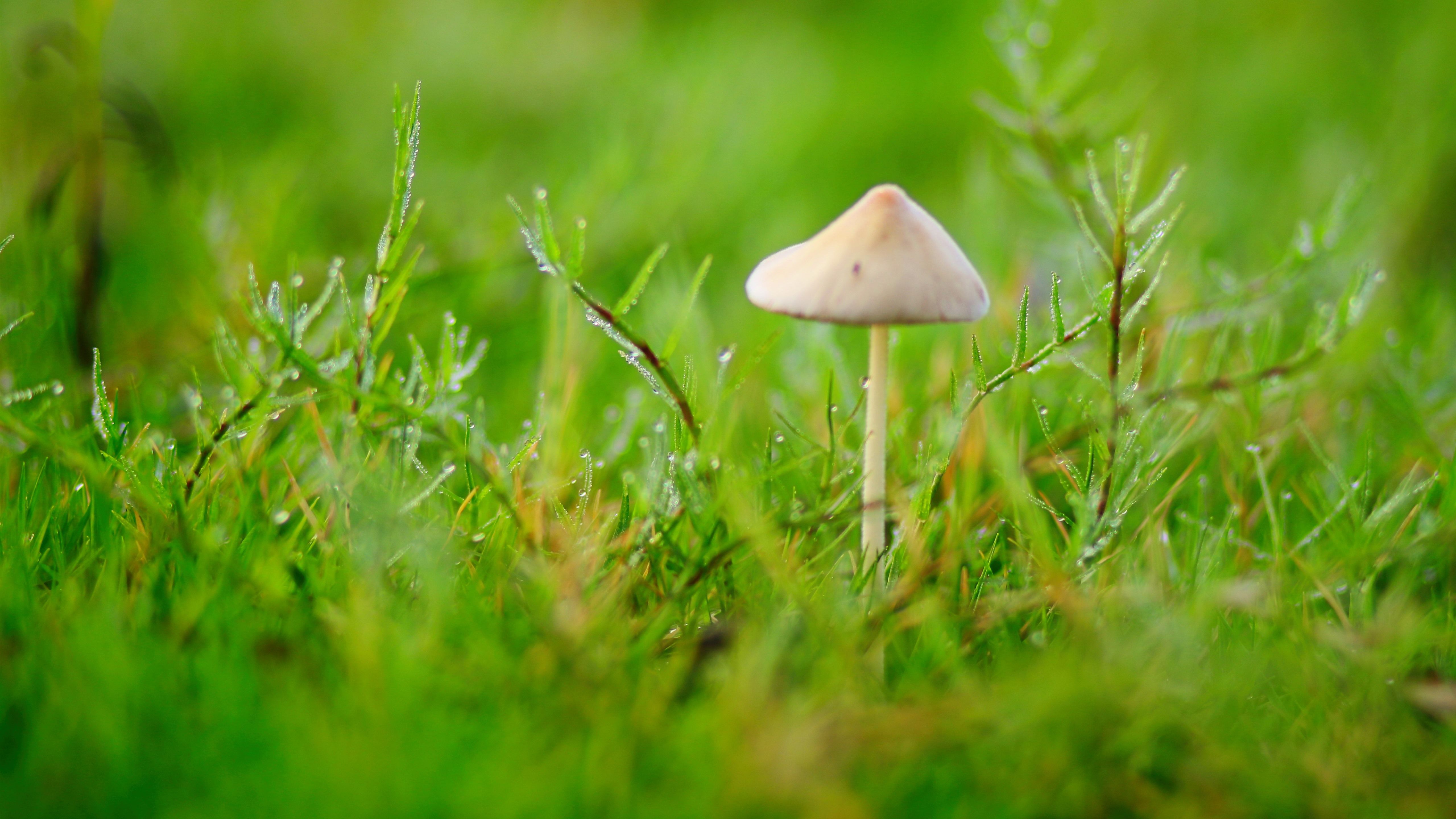 Fondo de pantalla de  5120x2880