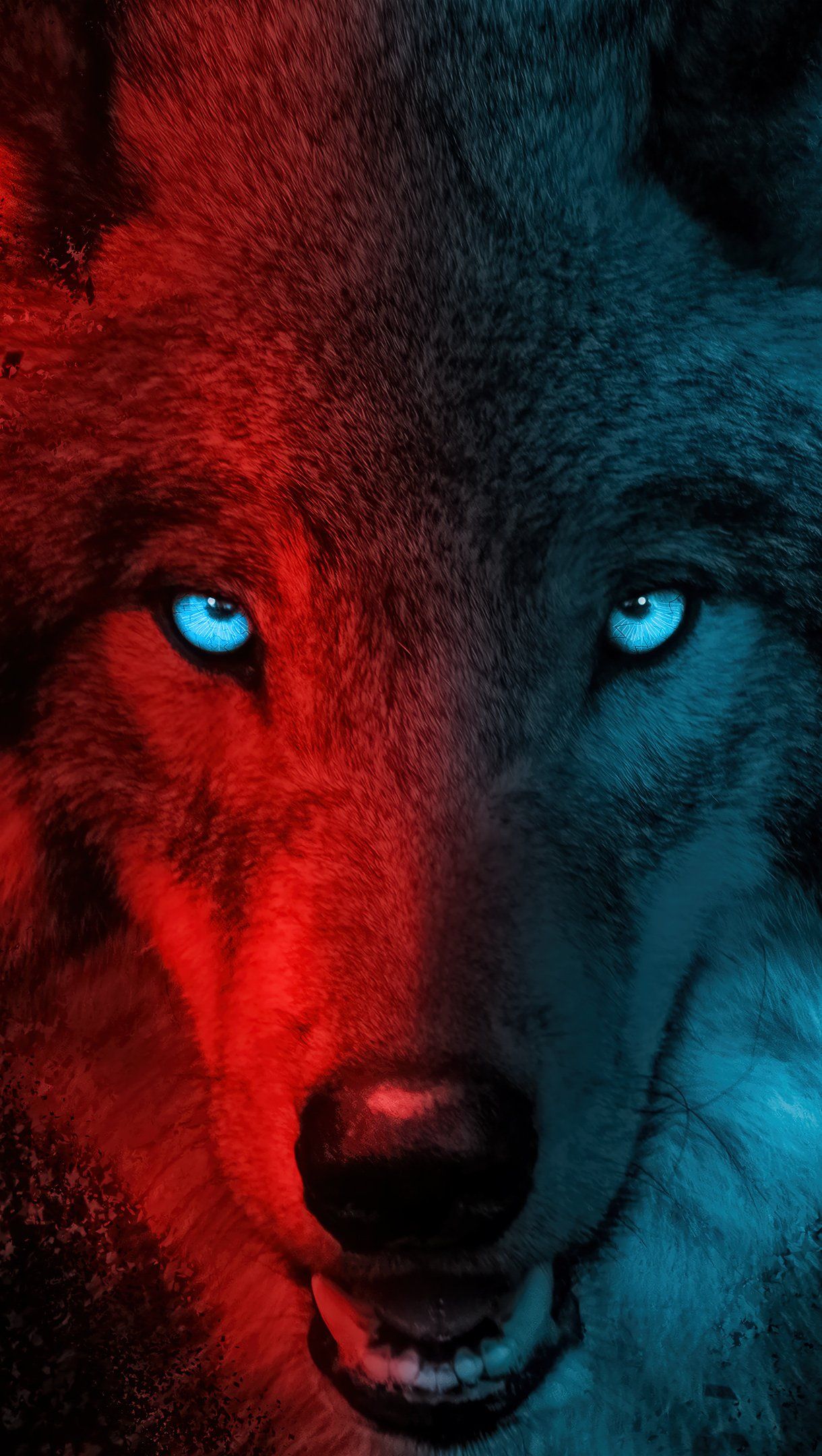 Fondo de pantalla   1220x2160