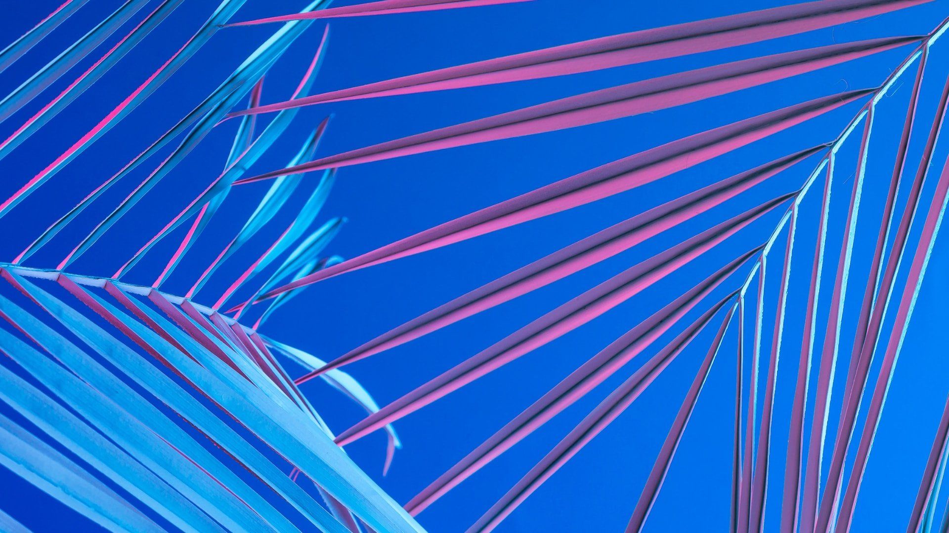 Fondo de pantalla   1920x1080