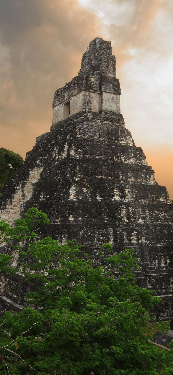Fondo de pantalla de  736x1593