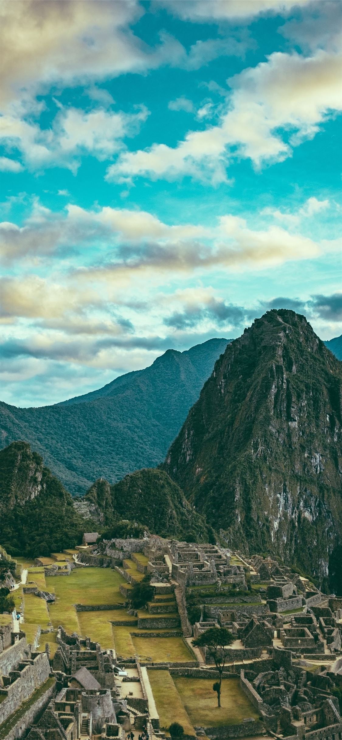Fondo de pantalla de  1125x2436