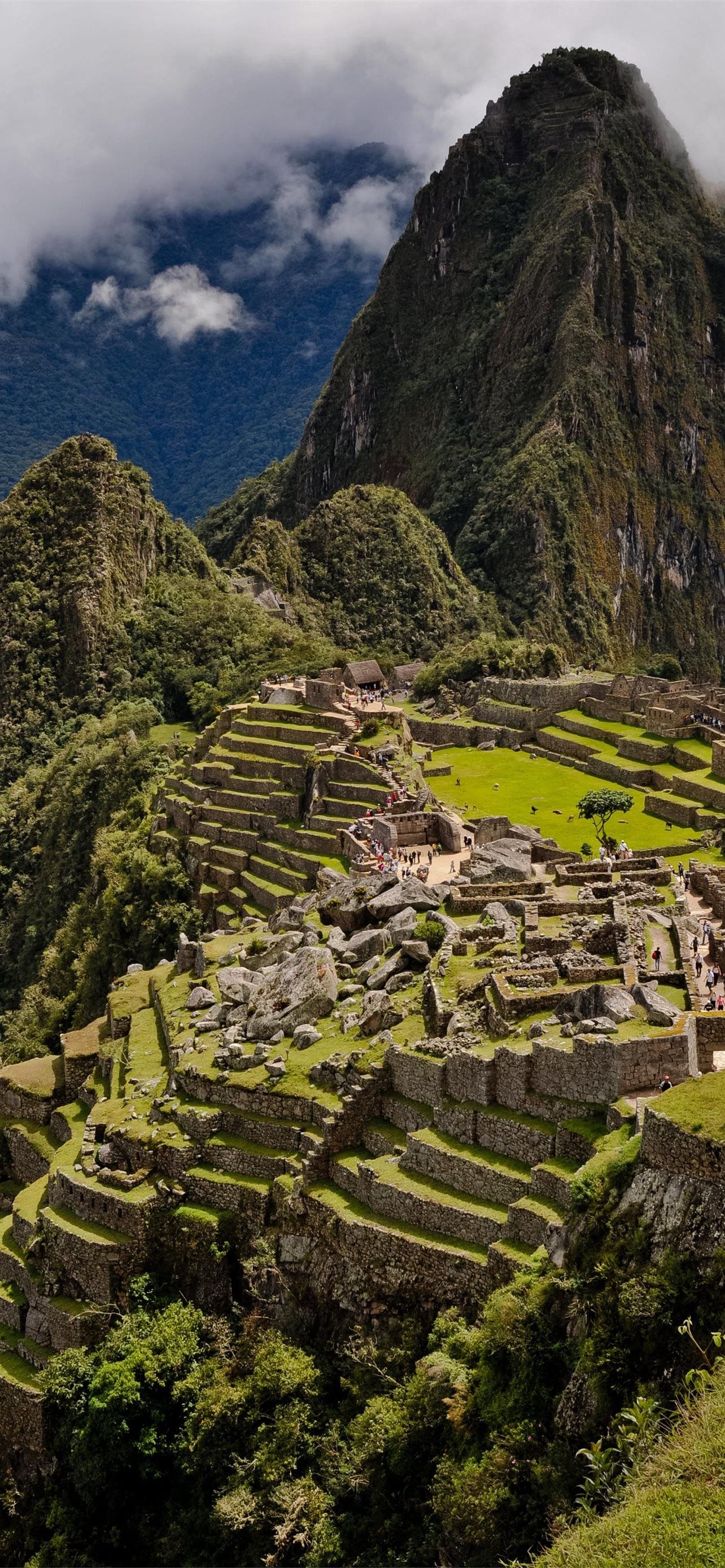 Fondo de pantalla de  1284x2778