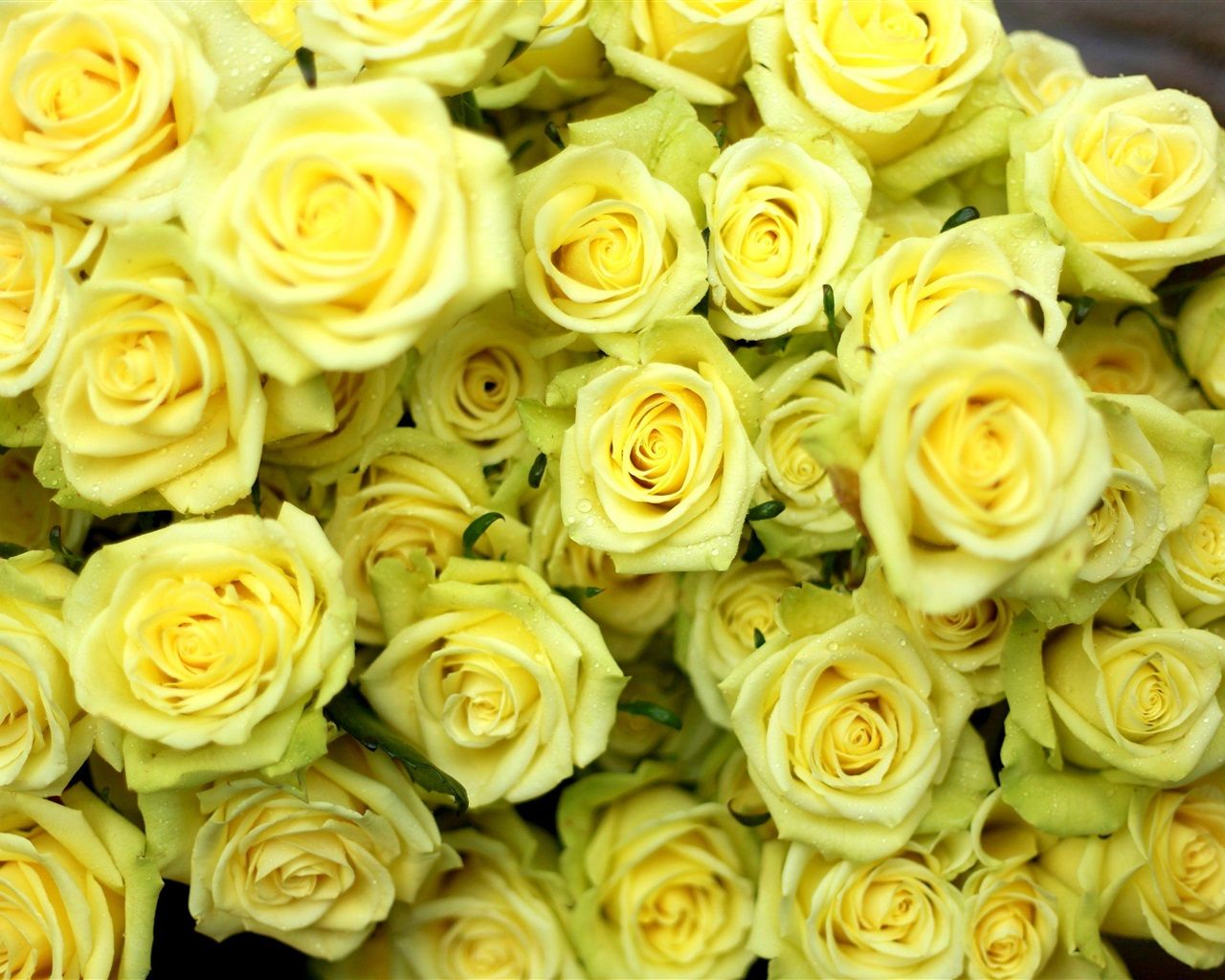 Fondo de pantalla de  1280x1024