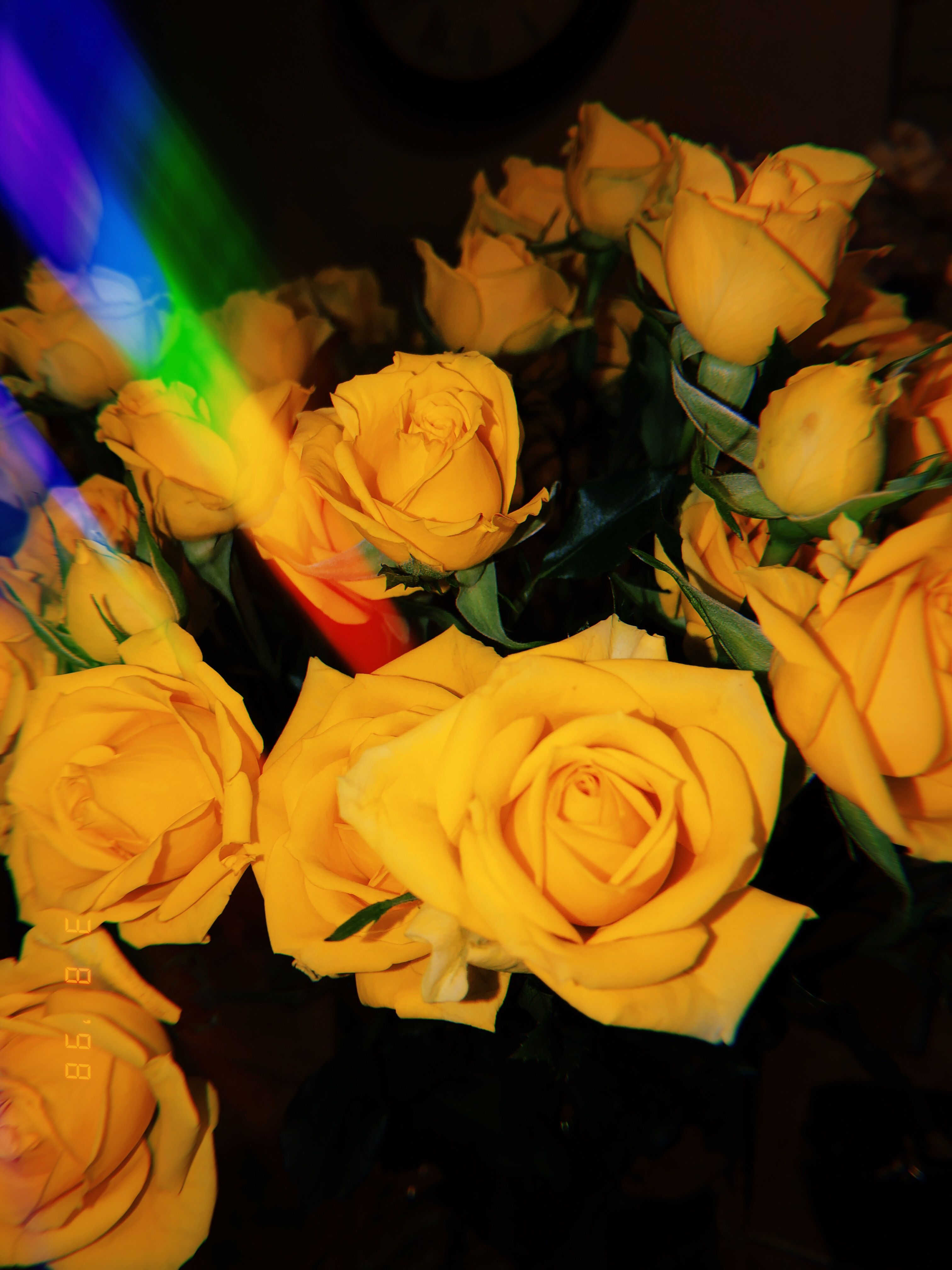 Fondo de pantalla de  3024x4032