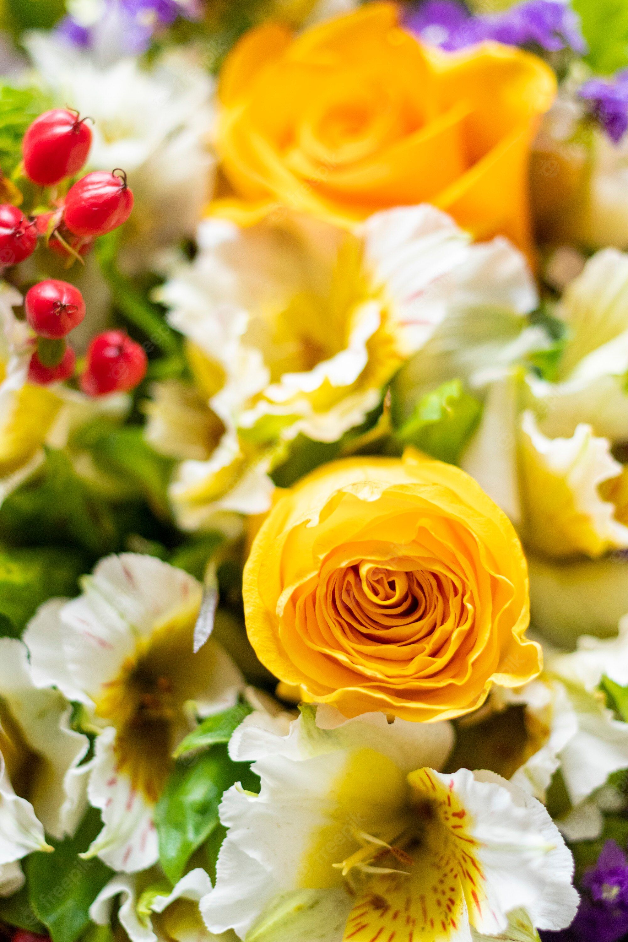 Fondo de pantalla de  2000x3000