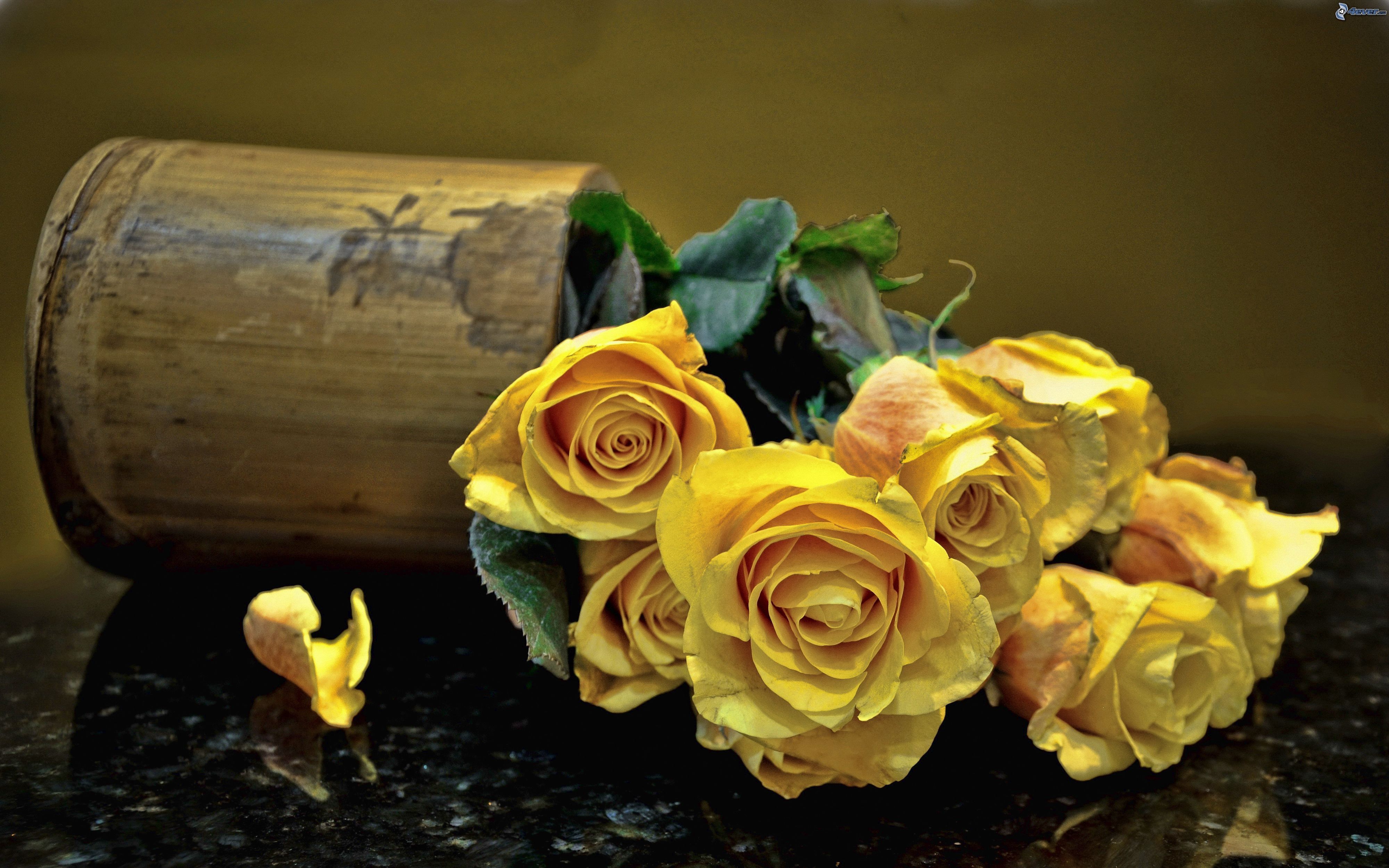 Fondo de pantalla de  4000x2500