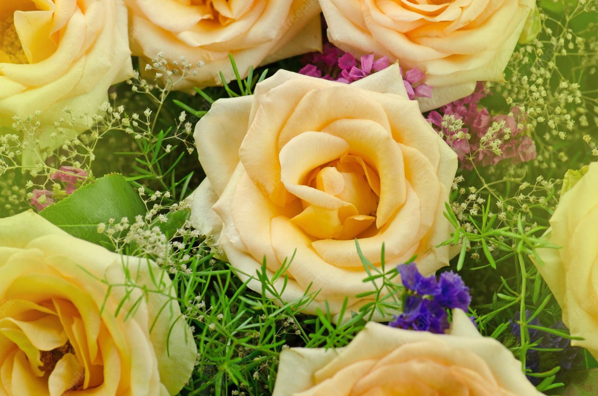 Fondo de pantalla de  2000x1325