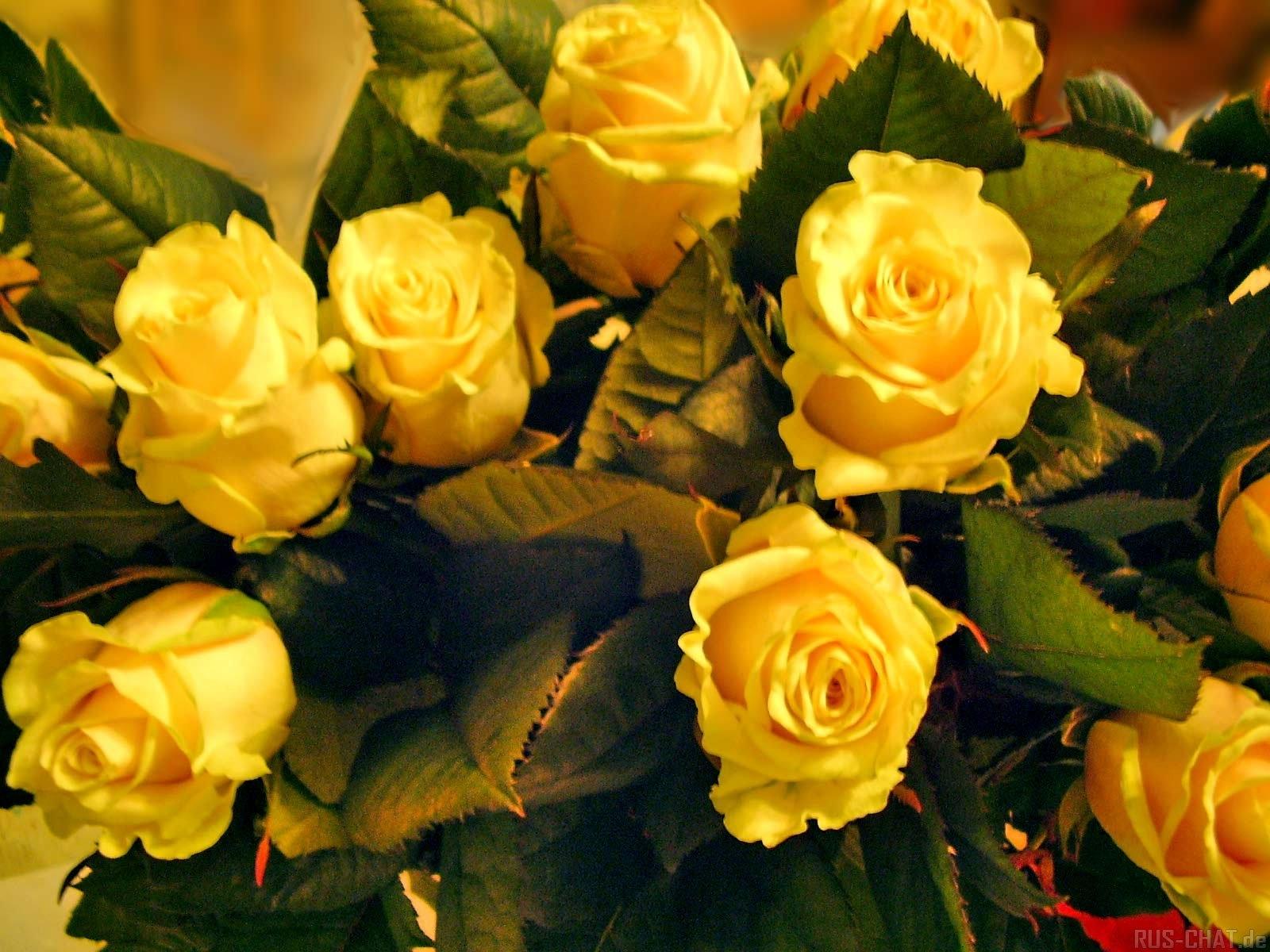 Fondo de pantalla de  1600x1200