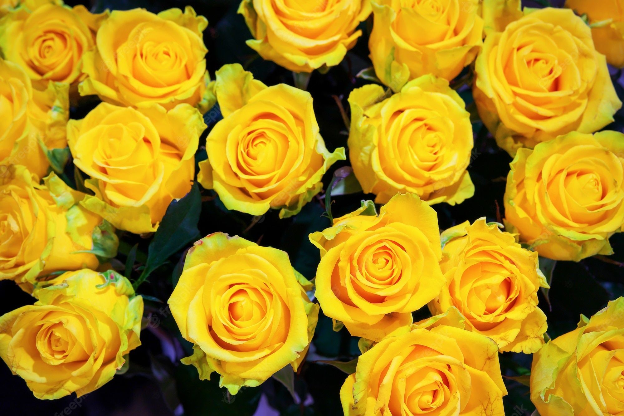 Fondo de pantalla de  2000x1333