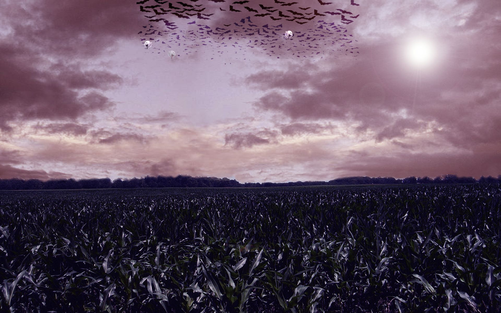 Fondo de pantalla de  1920x1200