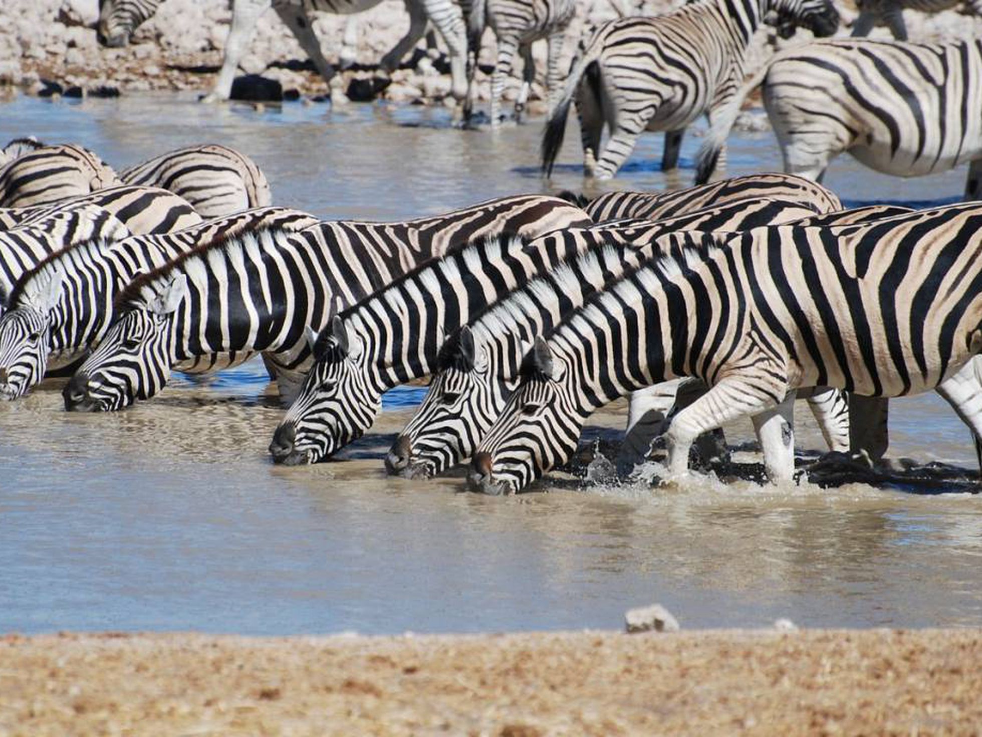 Fondo de pantalla de  1960x1470