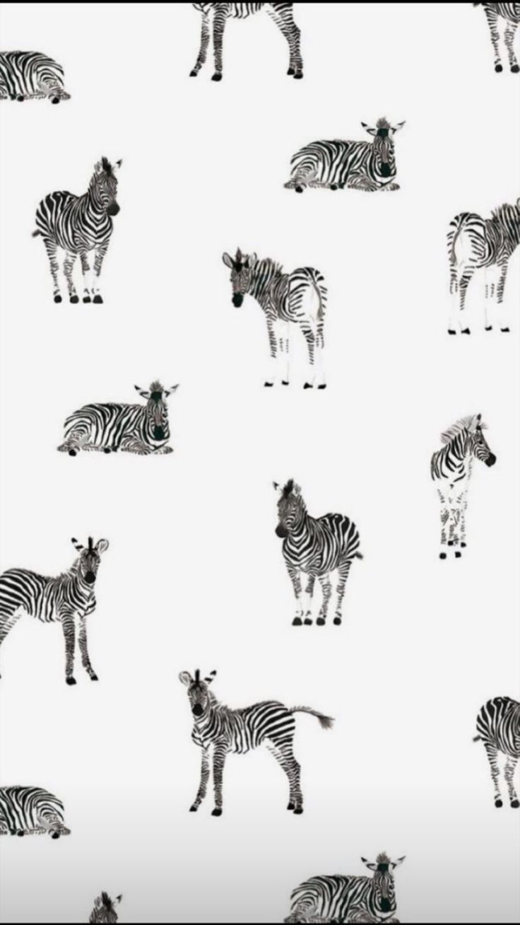 Fondo de pantalla de  736x1308