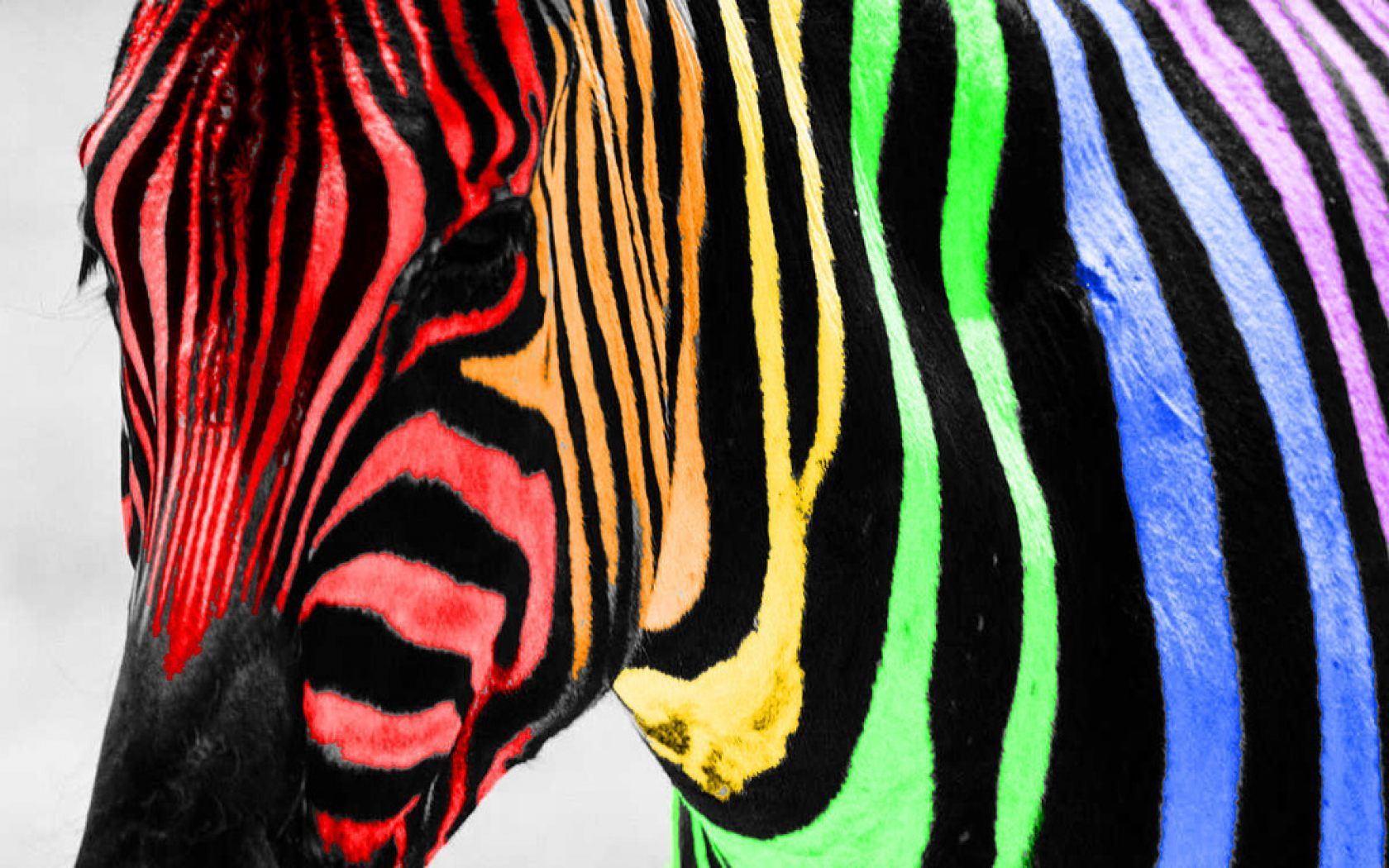 Fondo de pantalla de  1680x1050