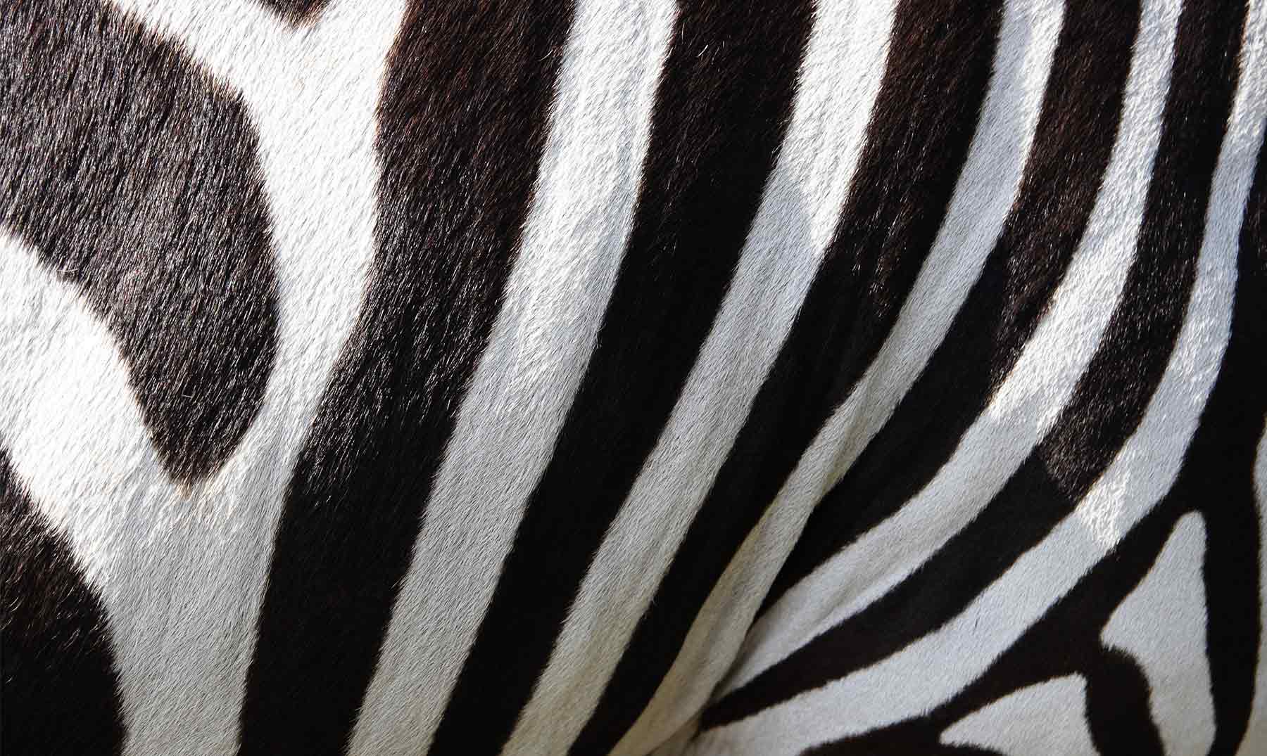 Fondo de pantalla de  1800x1075