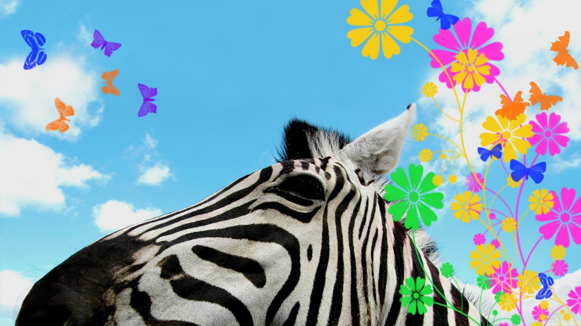 Fondo de pantalla de  1920x1080