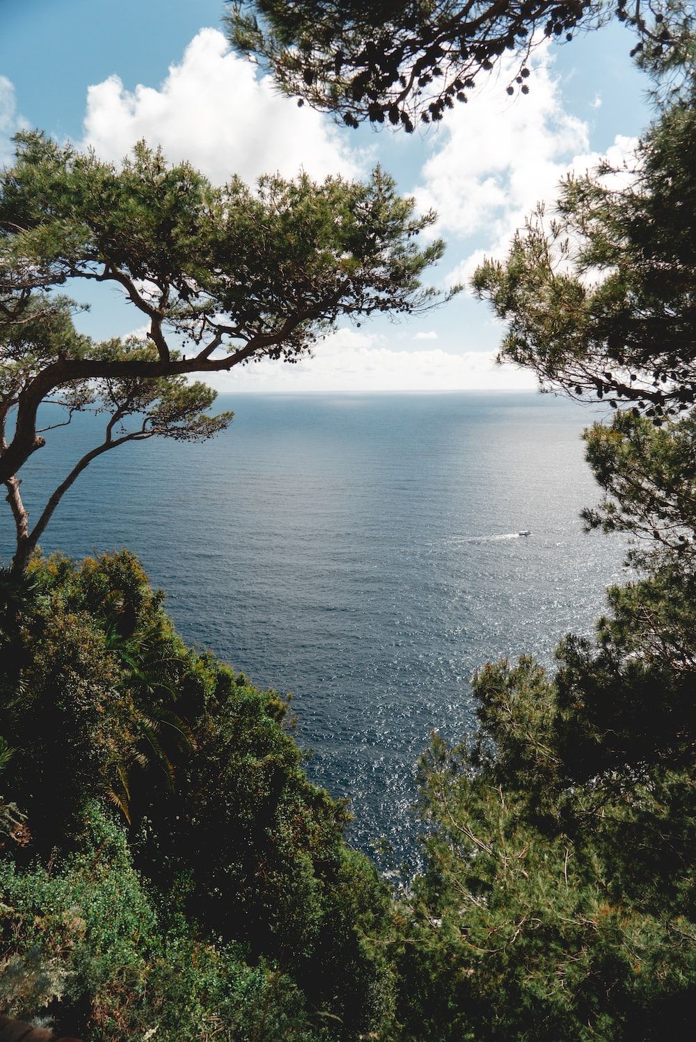 Fondo de pantalla del  1000x1498