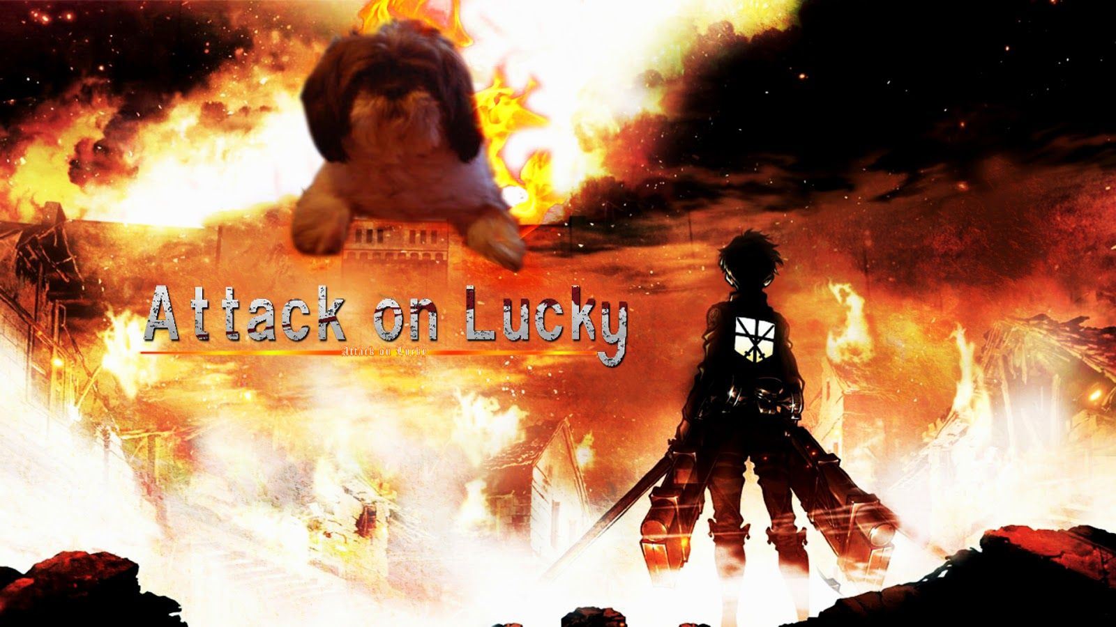 Fondo de pantalla de  1600x900