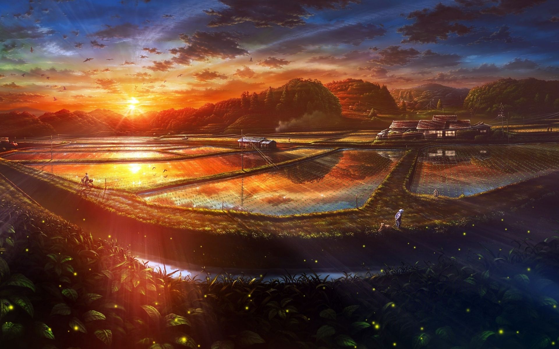 Fondo de pantalla de  1920x1200