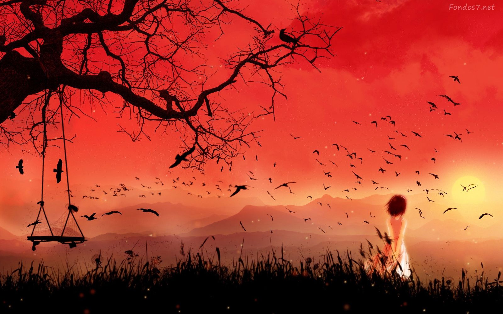 Fondo de pantalla de  1600x1000