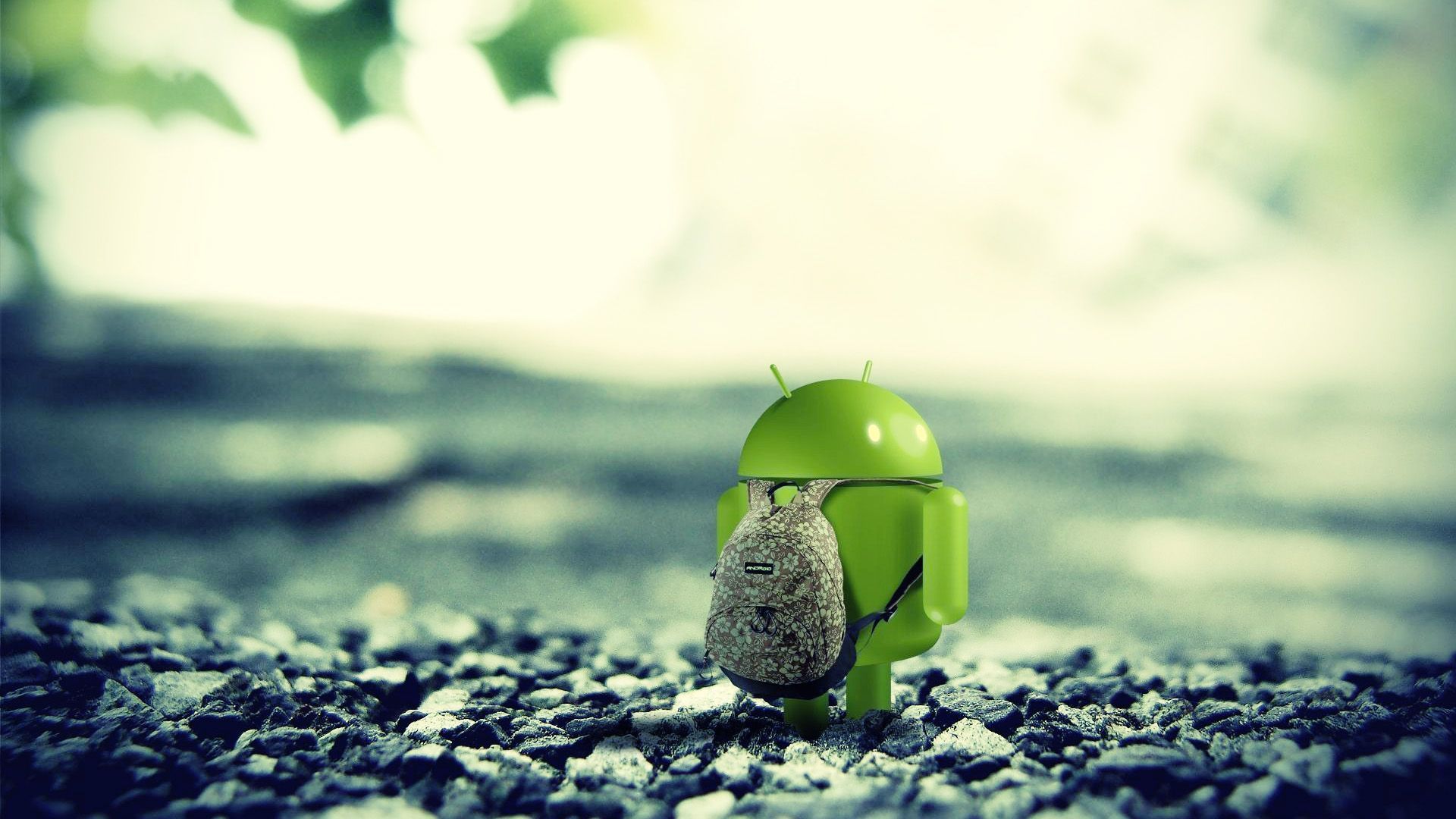 Mejores aplicaciones para Android Wallpaper | django en 2019 | Seguridad de Android
